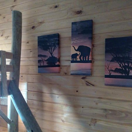Hostel Cape Town - Cambará 外观 照片
