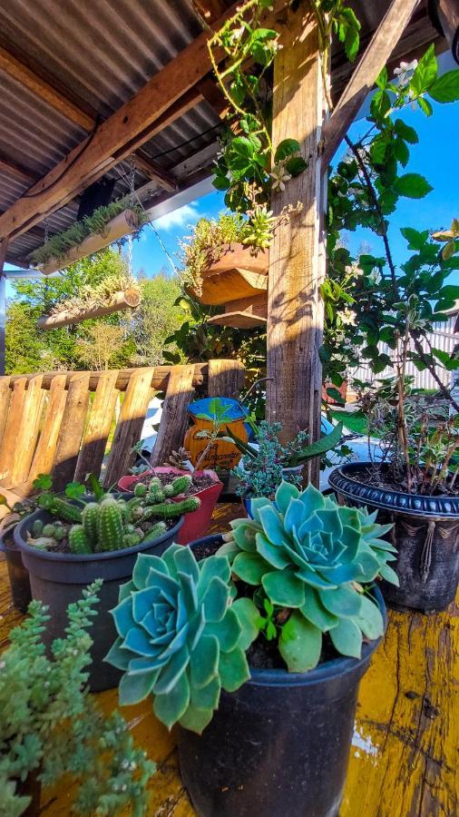 Hostel Cape Town - Cambará 外观 照片