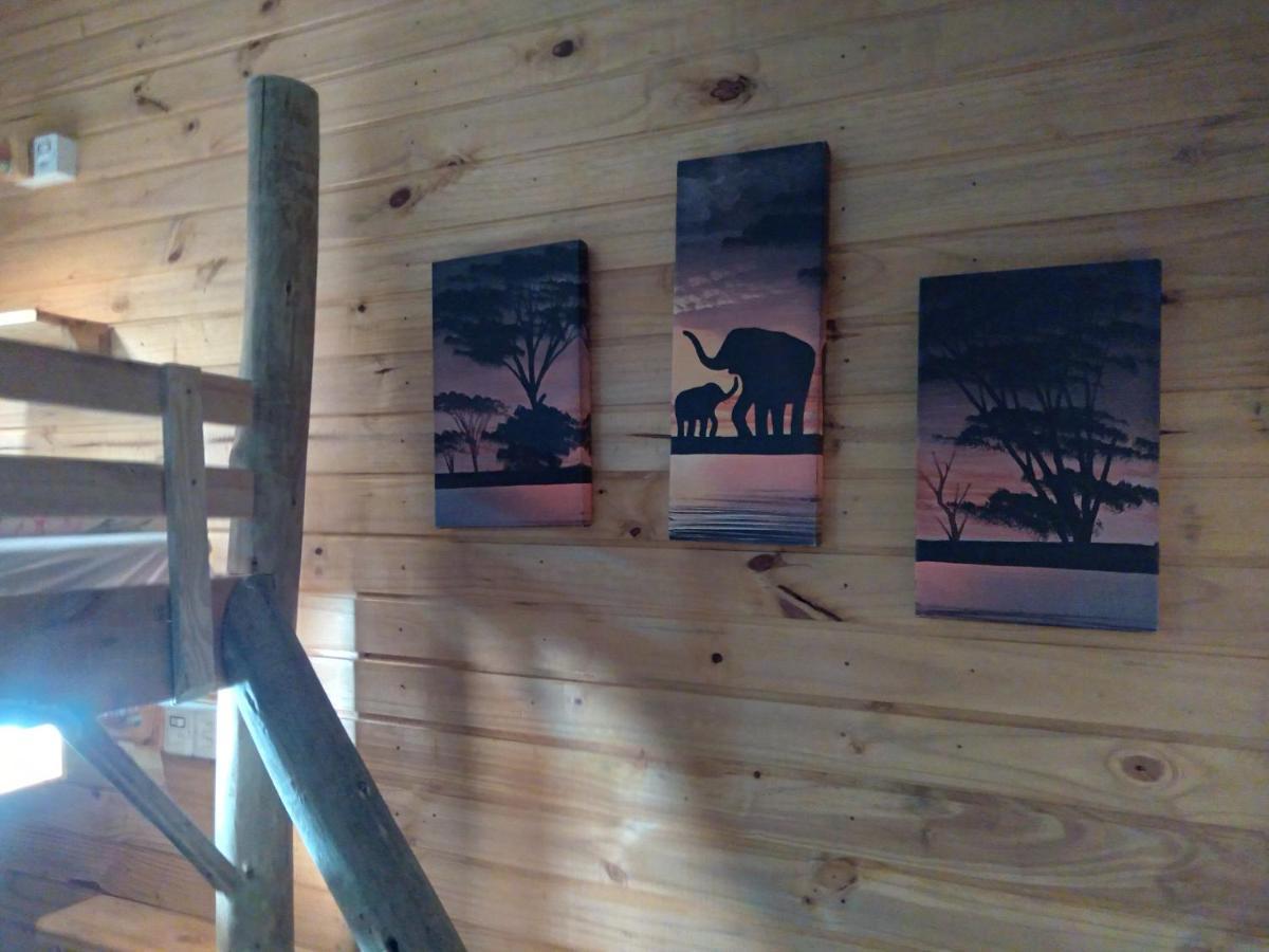 Hostel Cape Town - Cambará 外观 照片